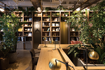 レンタルグリーン RentalGreen