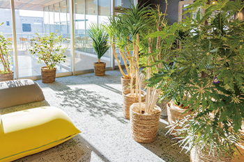 レンタルグリーン RentalGreen