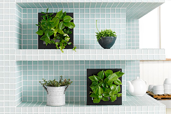 ミドリエデザイン Midorie Design