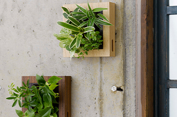 ミドリエデザイン Midorie Design