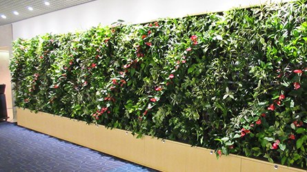 植物密度の高い壁面 曲面、コーナーなど様々な形状にも対応