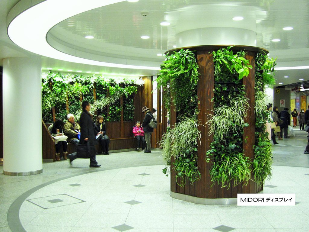 駅構内への壁面緑化 | 壁面緑化の事なら株式会社ディーマーケット MD事業部 MIDORIディスプレイ