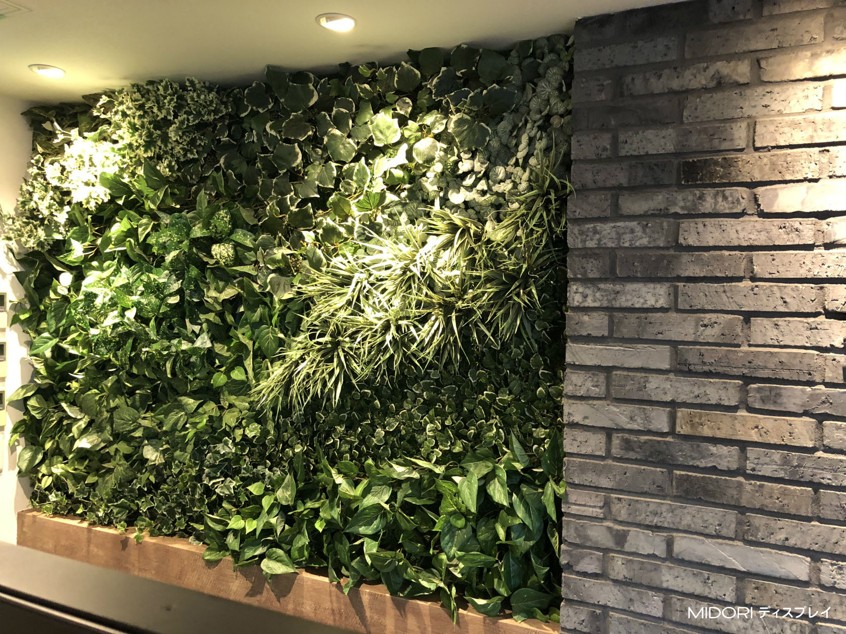 アート壁面緑化とリアル植栽によるオフィスの緑化