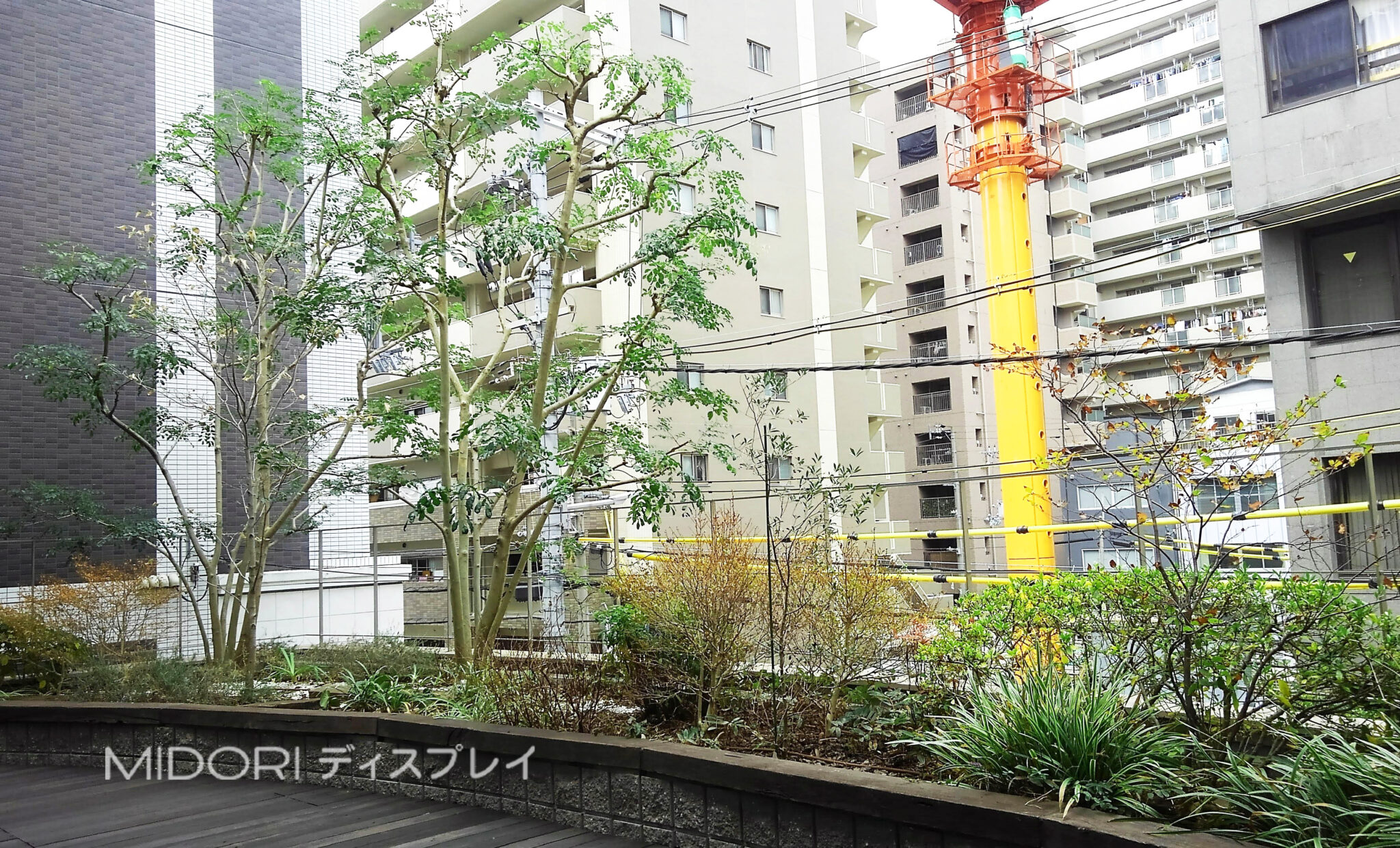 大阪市内オフィスの屋外テラス植栽