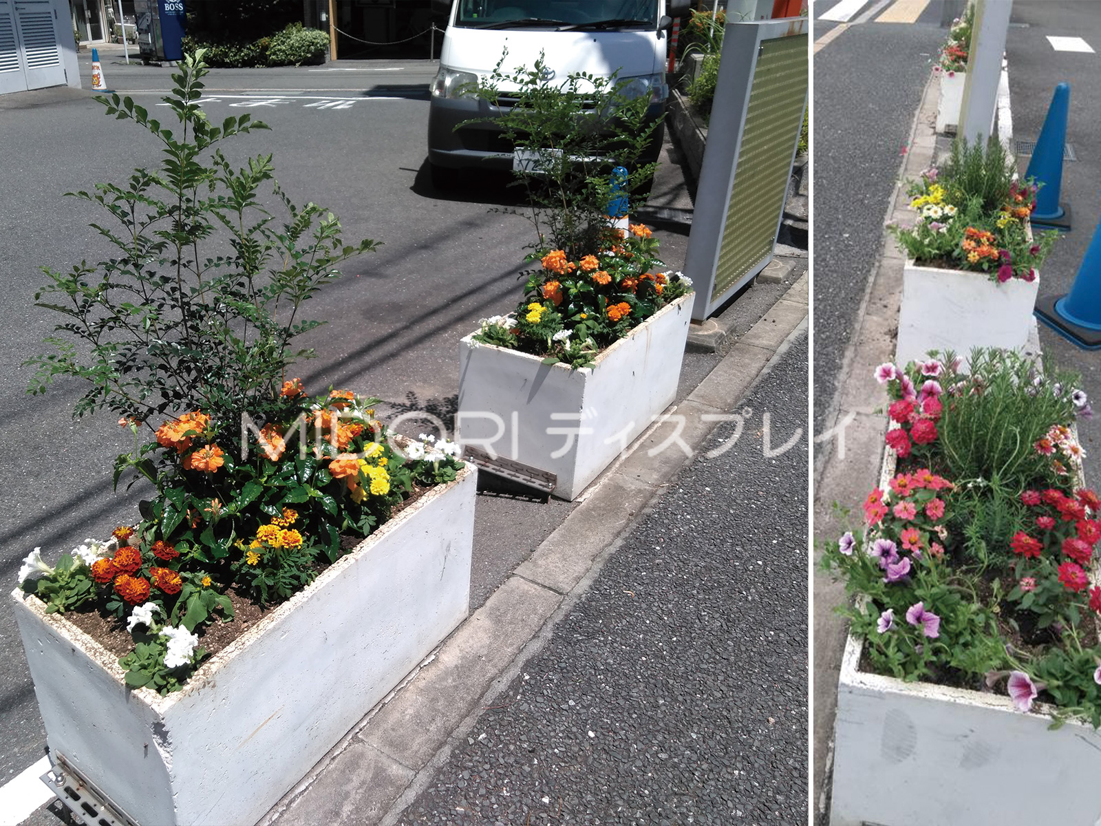 商業施設駐車場のプランター植栽