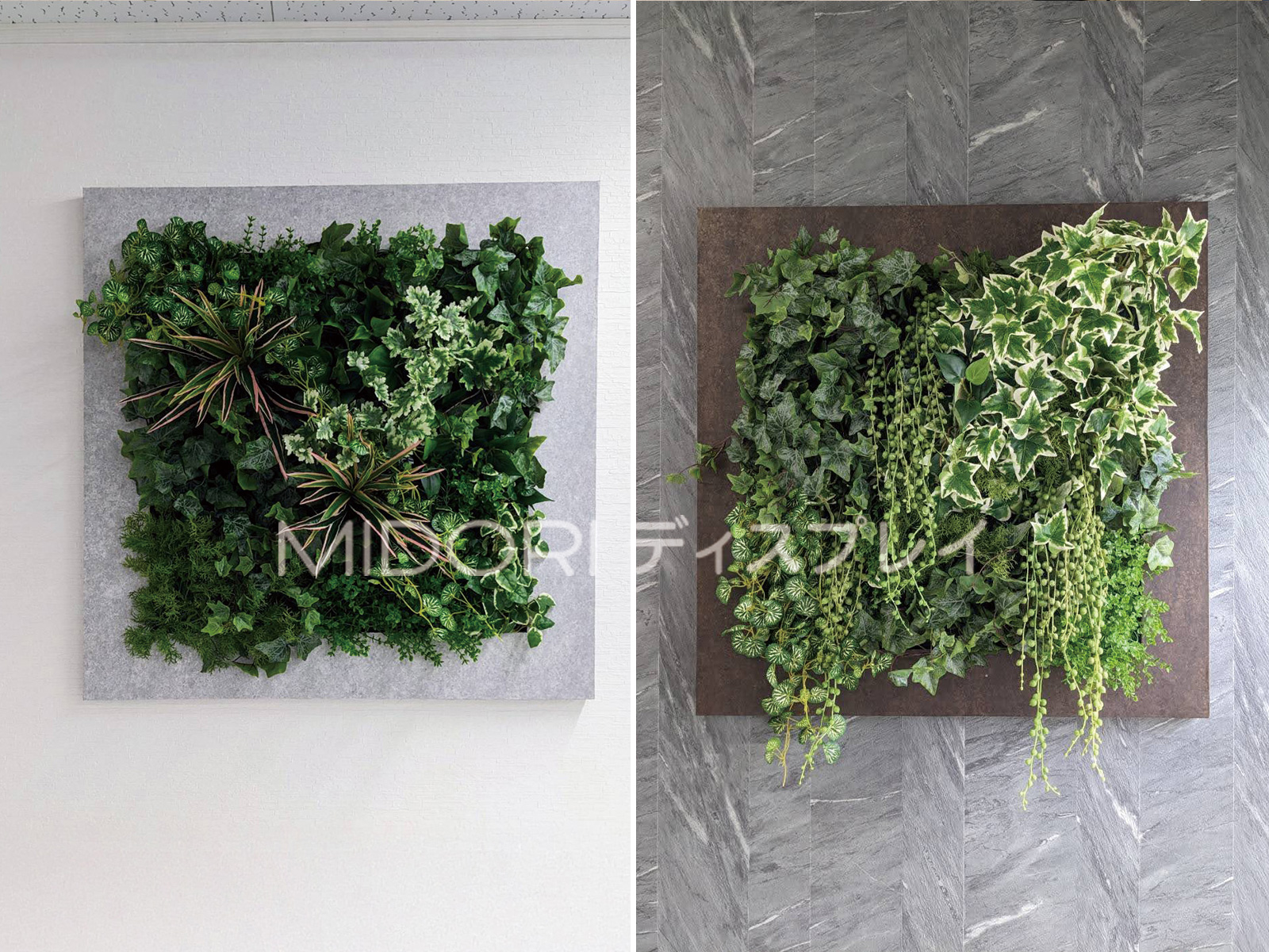 現場事務所にフレーム壁面緑化