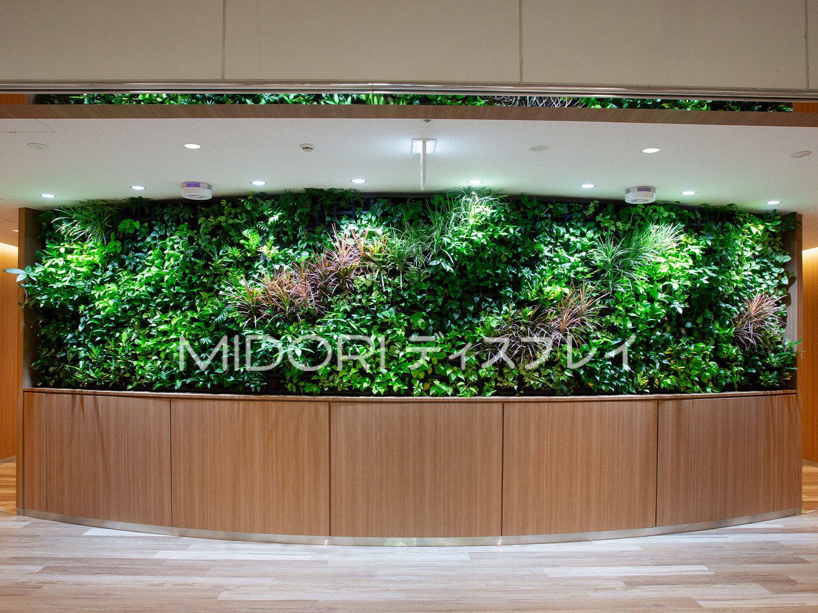 オフィスビルの共有フロアを彩る壁面緑化