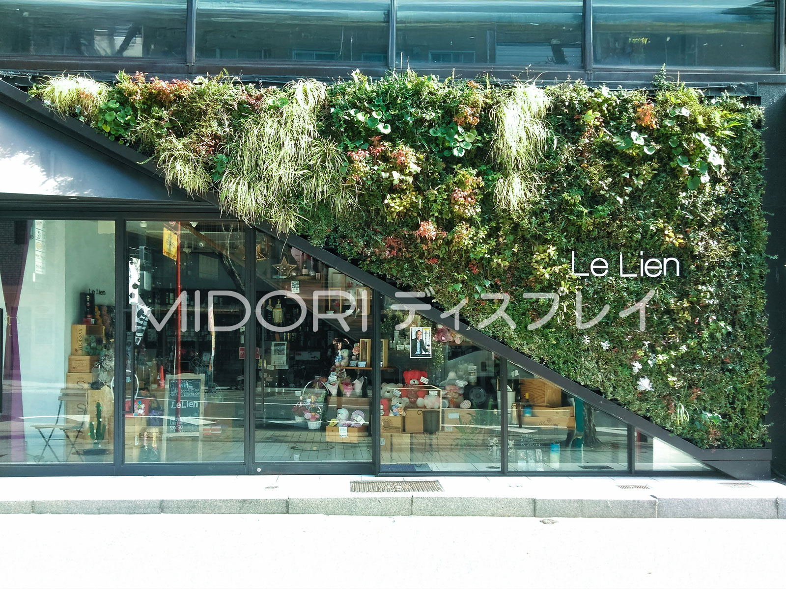店舗ファサードにデザインされた壁面緑化