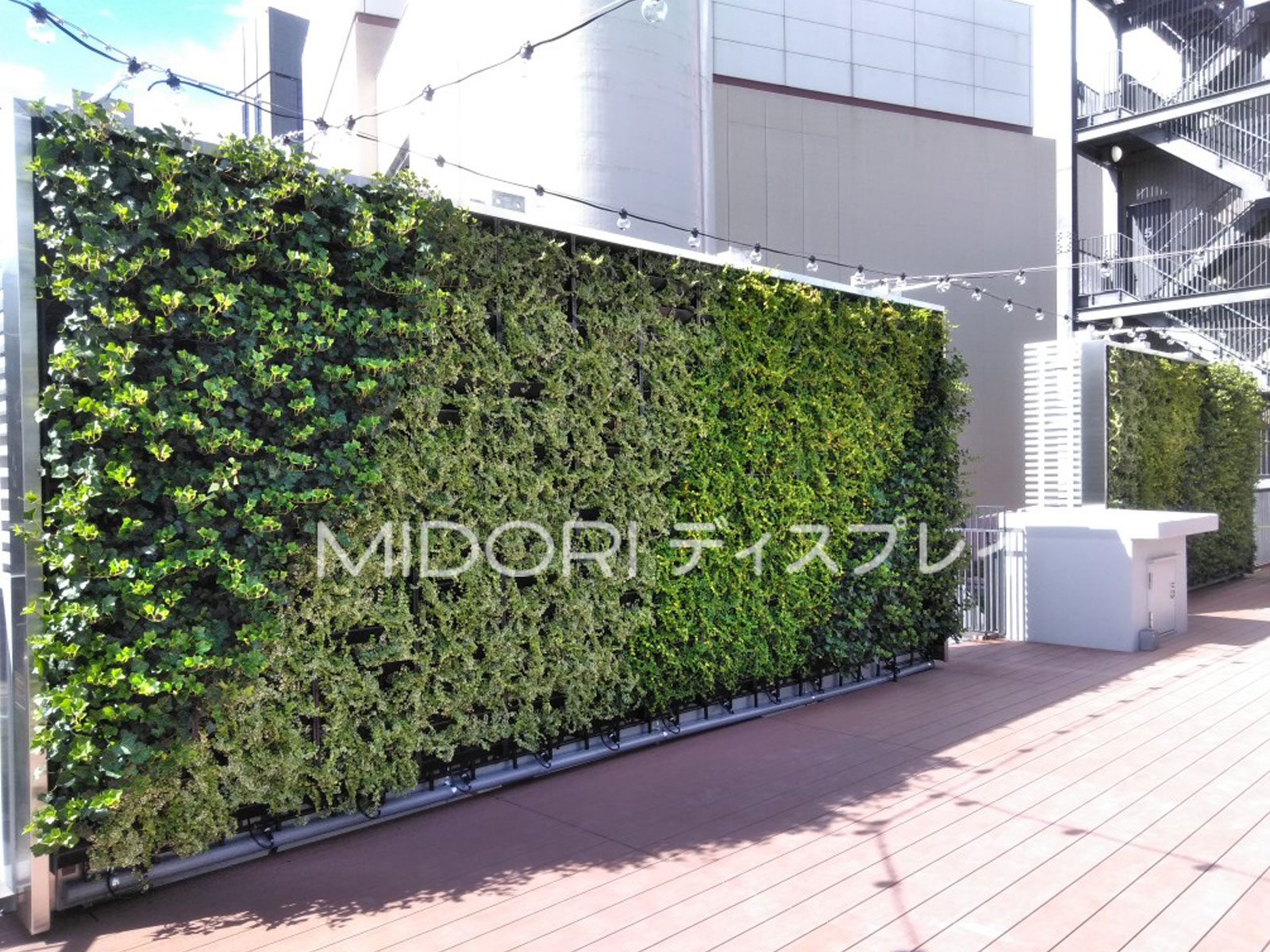 ビル外壁の高所に設置された壁面緑化_No1