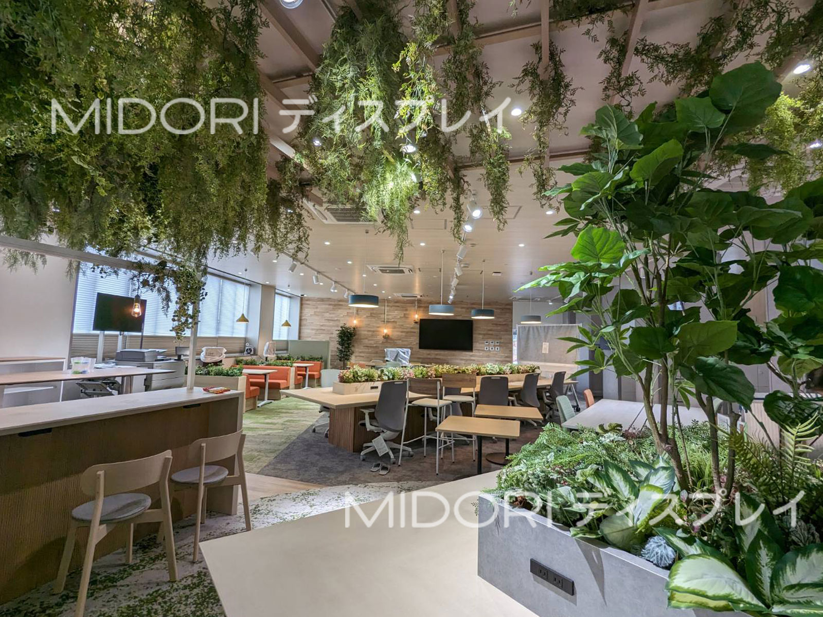 新築オフィス内に天井と壁面装飾