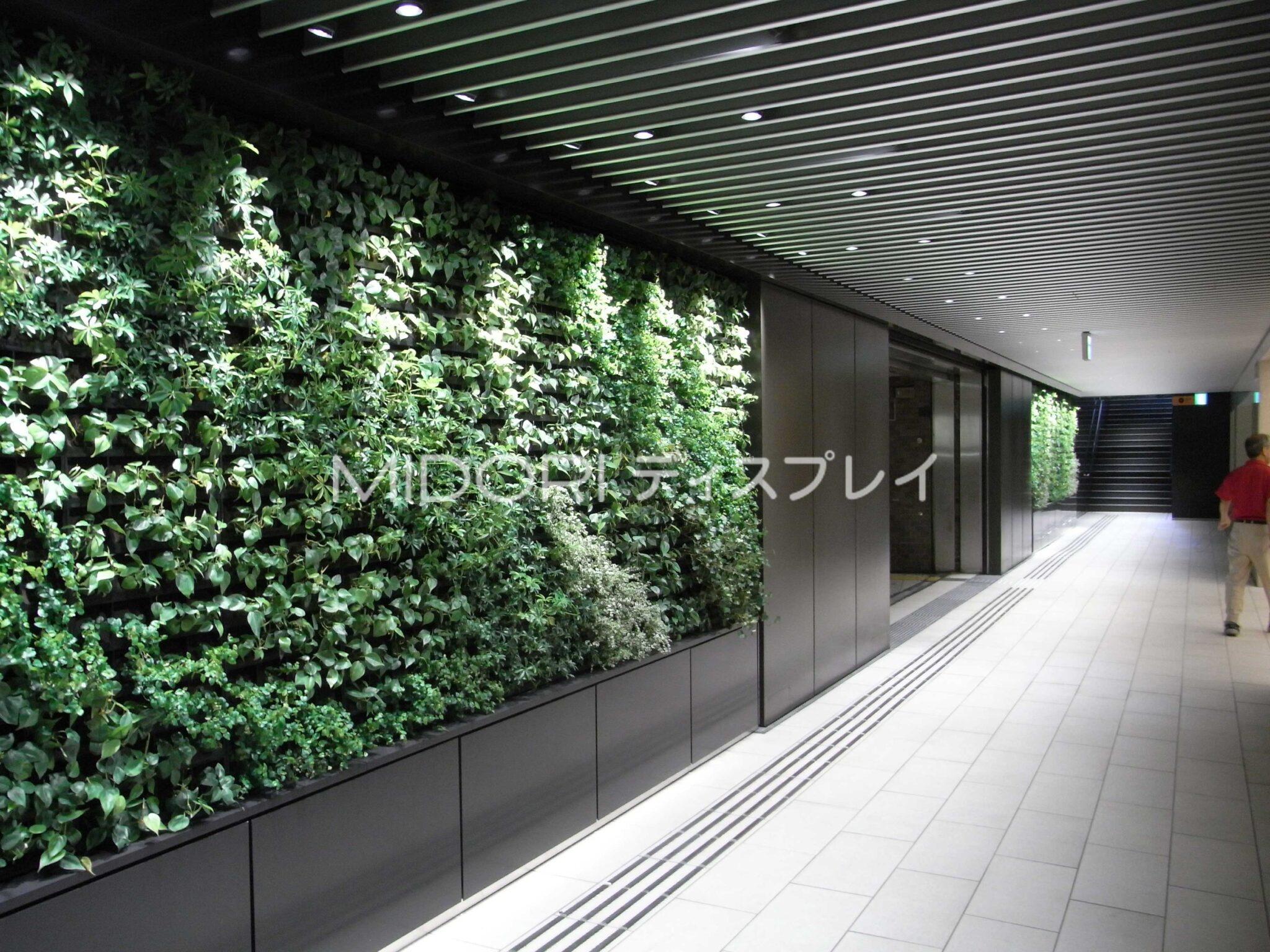 地下鉄駅構内を明るく彩る壁面緑化