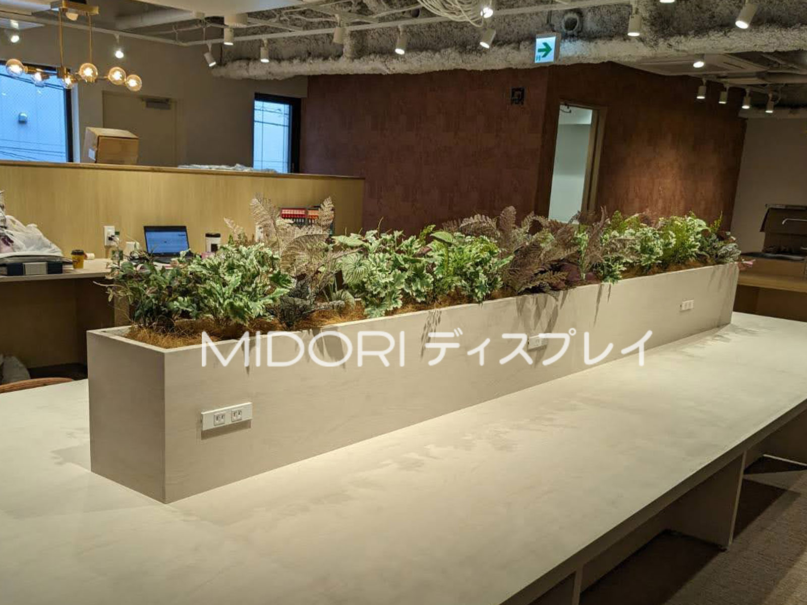 コワーキング・シェアオフィスにグリーン装飾