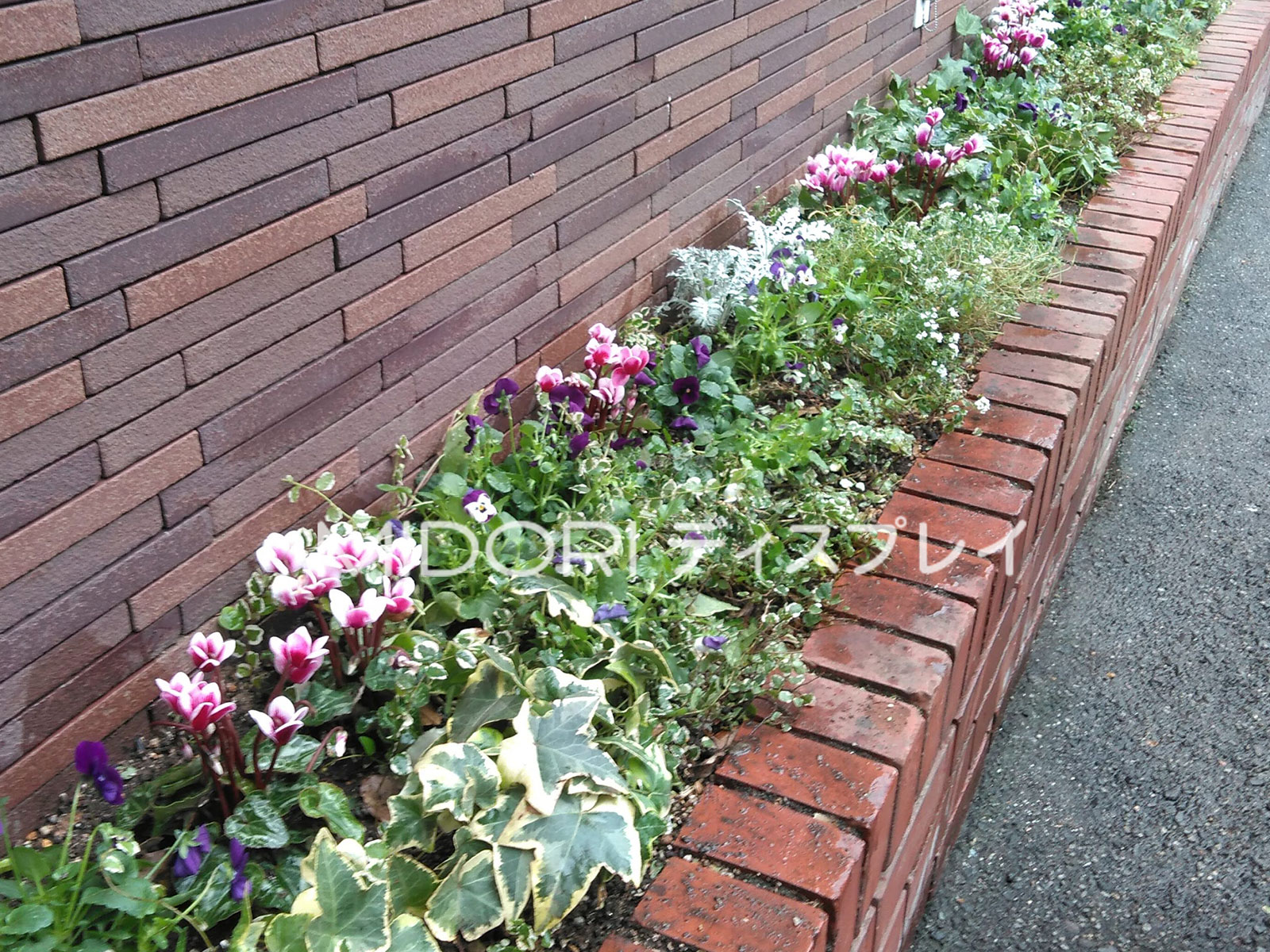 堺市内のクリニック駐車場の花壇